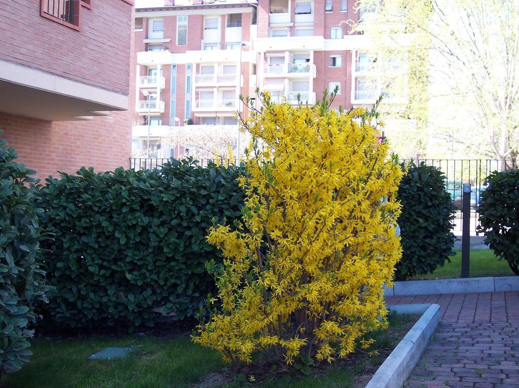 B&B Il Parco Parma Exterior foto